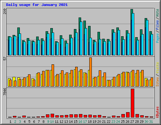 Daily usage for January 2021