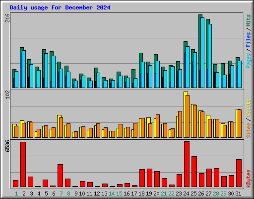 Daily usage for December 2024