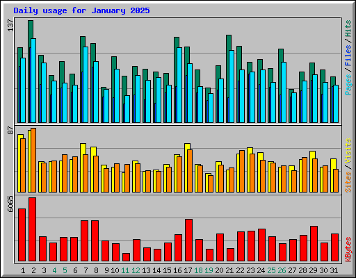 Daily usage for January 2025