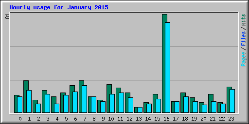 Hourly usage for January 2015