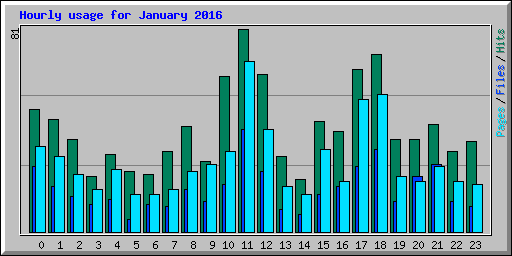 Hourly usage for January 2016