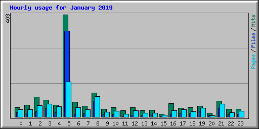 Hourly usage for January 2019