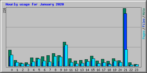 Hourly usage for January 2020