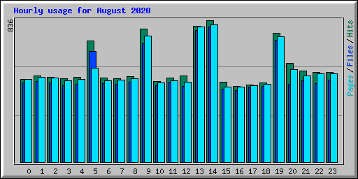 Hourly usage for August 2020