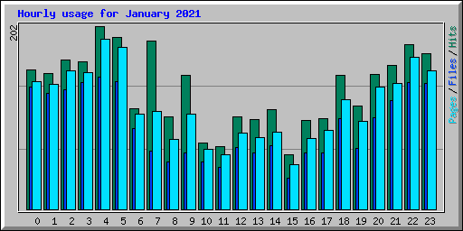 Hourly usage for January 2021