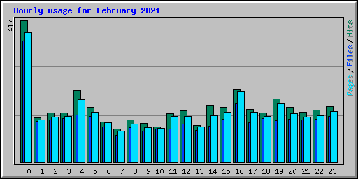 Hourly usage for February 2021