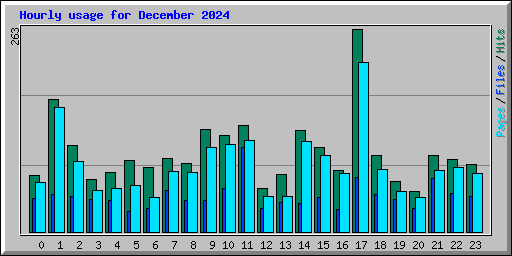Hourly usage for December 2024
