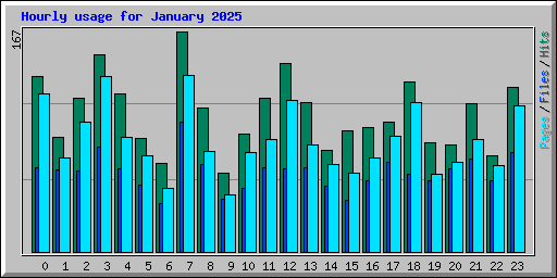Hourly usage for January 2025