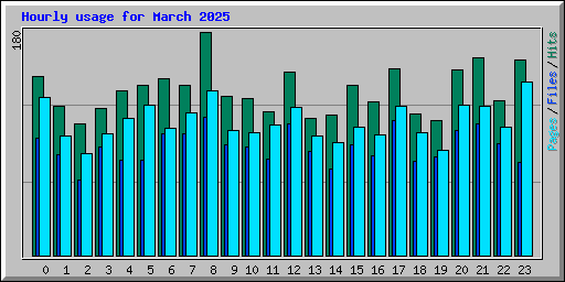 Hourly usage for March 2025