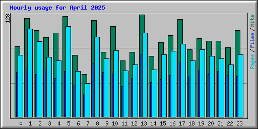 Hourly usage for April 2025