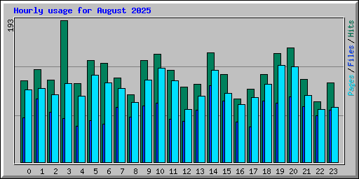Hourly usage for August 2025