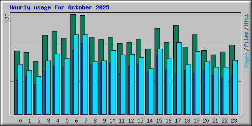 Hourly usage for October 2025