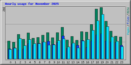 Hourly usage for November 2025