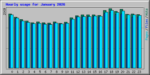 Hourly usage for January 2026