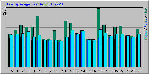 Hourly usage for August 2026